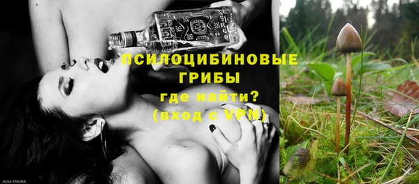 экстази Арсеньев